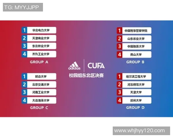 南京足球队实力强劲荣登全国足球实力排行榜第五名